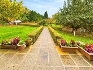 VIEW FROM THE FRONT DOOR- click for photo gallery